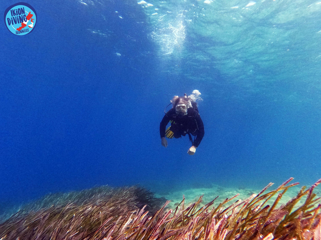 Ikion Diving Center景点图片