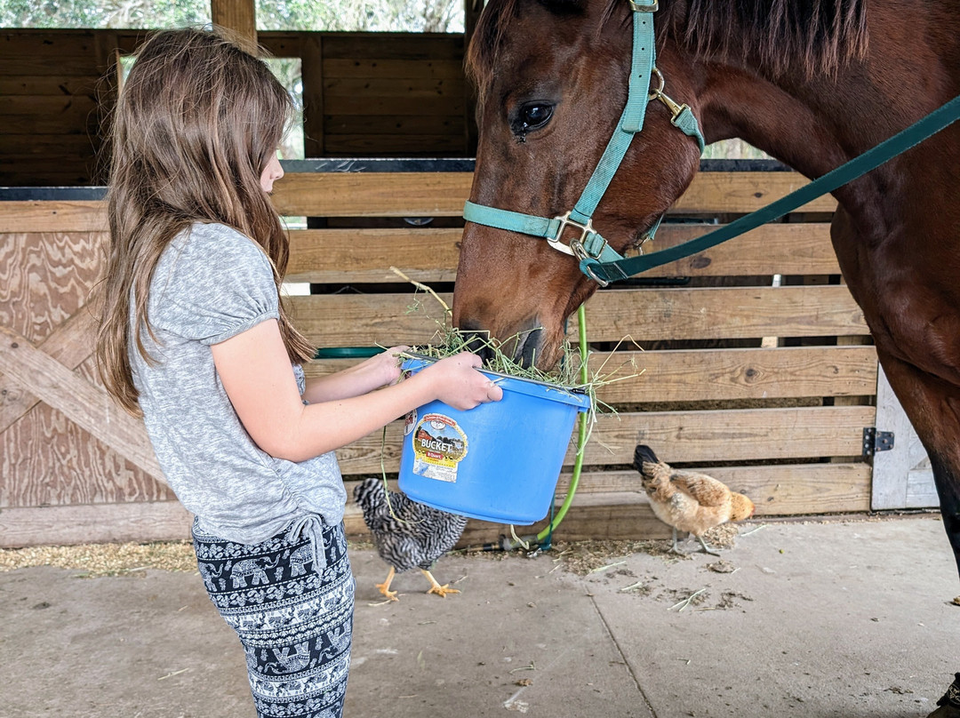 Cheyne Ranch, Inc.-Oviedo必去景点