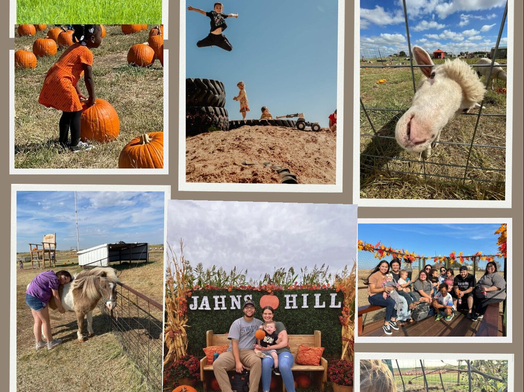 Jahn's Pumpkin Hill-Cyril必去景点