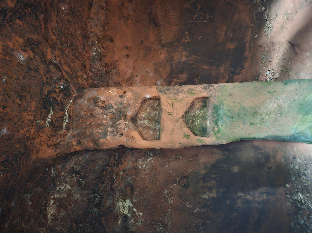 Nesscliffe Country Park