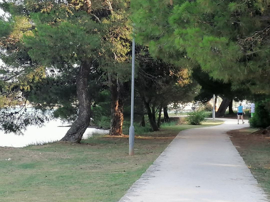 Istria旅游景点-Parco Archeologico Vizula