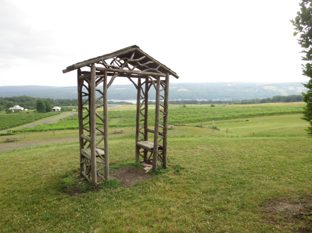 Heron Hill Winery景点图片