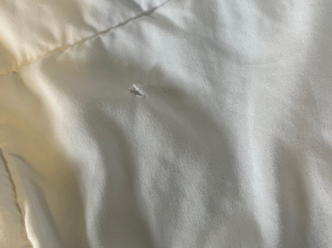 Baymont by Wyndham Hinton主图