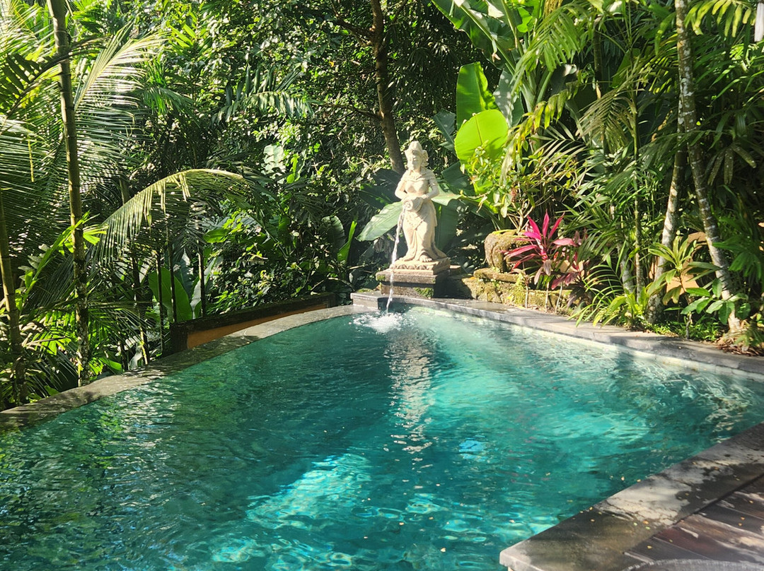 The Kayon Jungle Resort主图