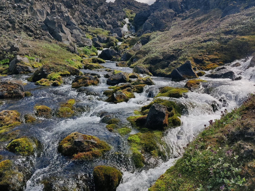 Private Tours In North Iceland By Kip-米湖必去景点