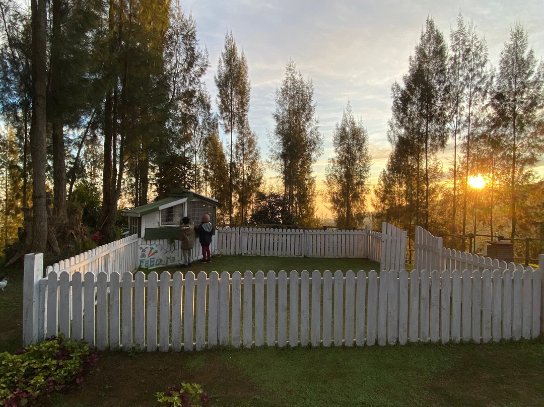 Plataran Bromo主图