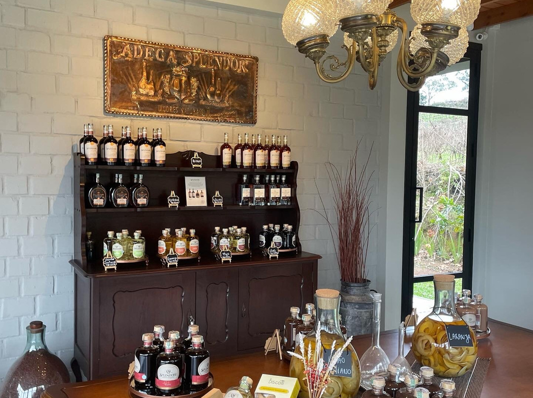 Somacal Vinhos Unicos