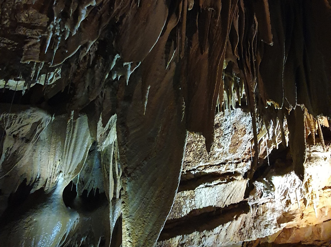 Grotte de Baume Obscure景点图片