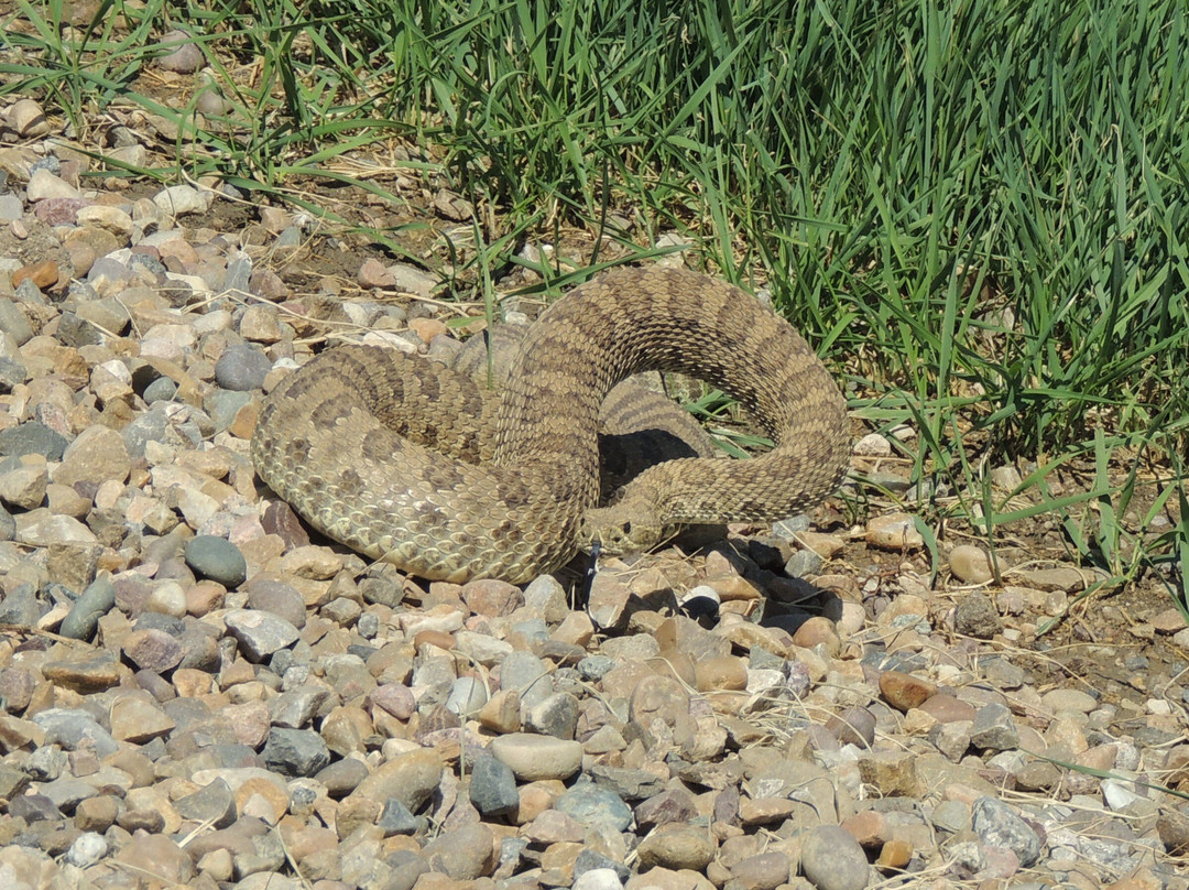 Sky Story Bed & Breakfast主图