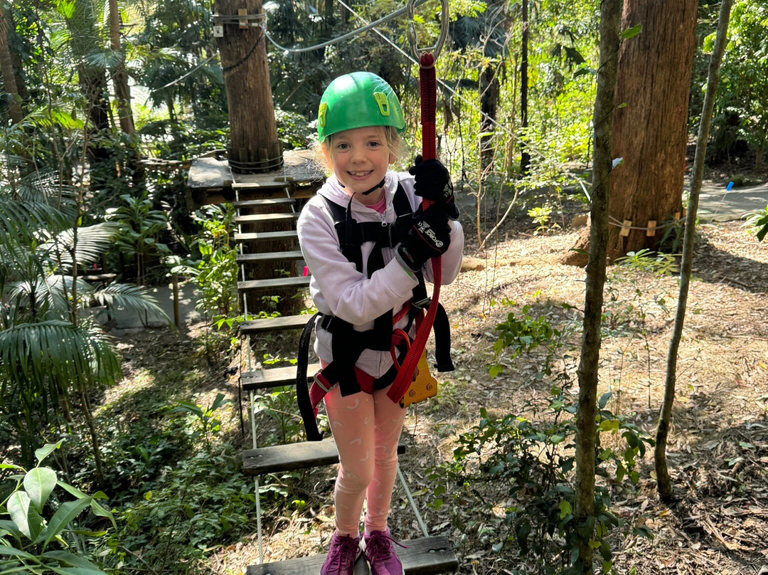 Treetop Challenge-可伦宾必去景点