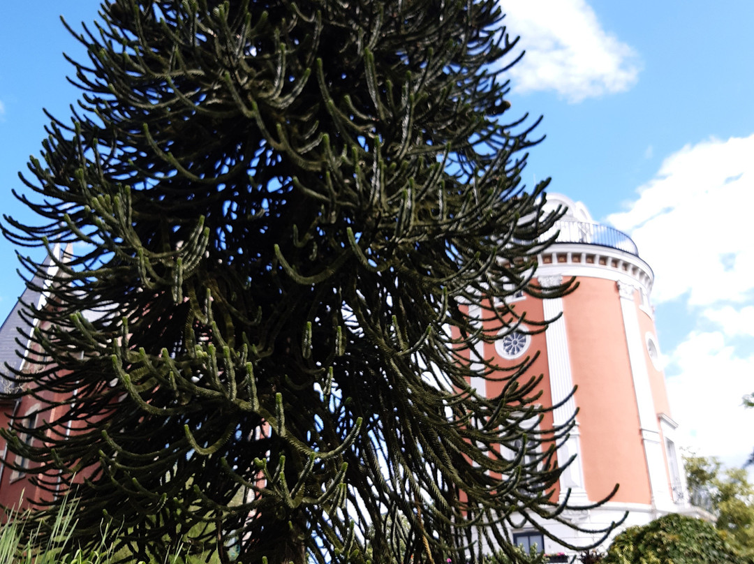 Botanischer Garten景点图片