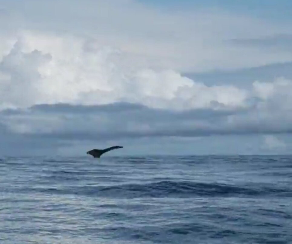 Mecana Ecohotel主图