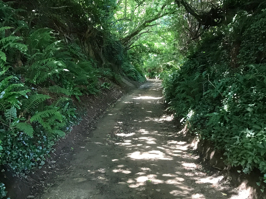 Symondsbury Estate
