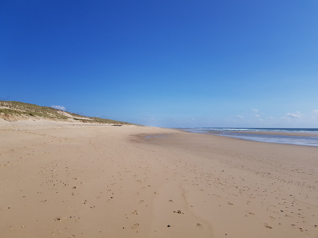 Les Plages de Lacanau景点图片