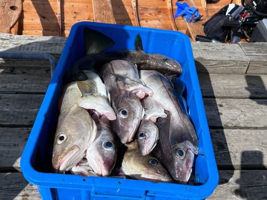 boat.fo-Hvannasund必去景点