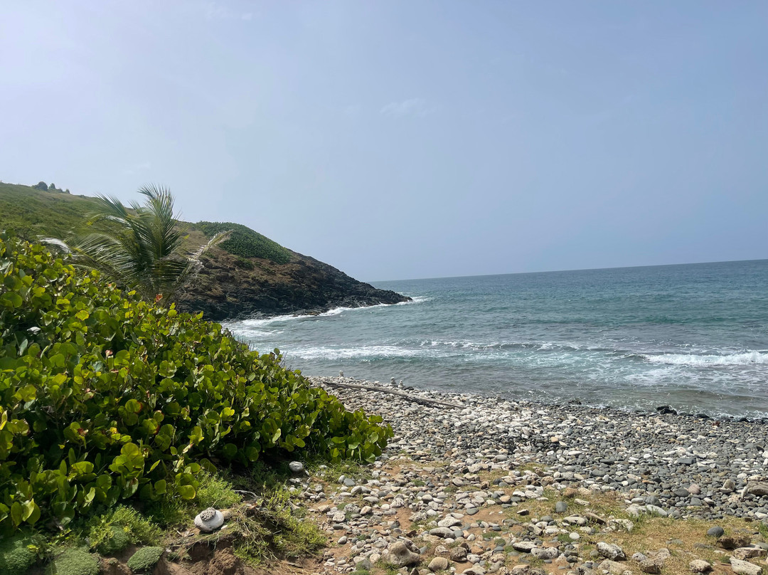 La Zanja-法哈多必去景点