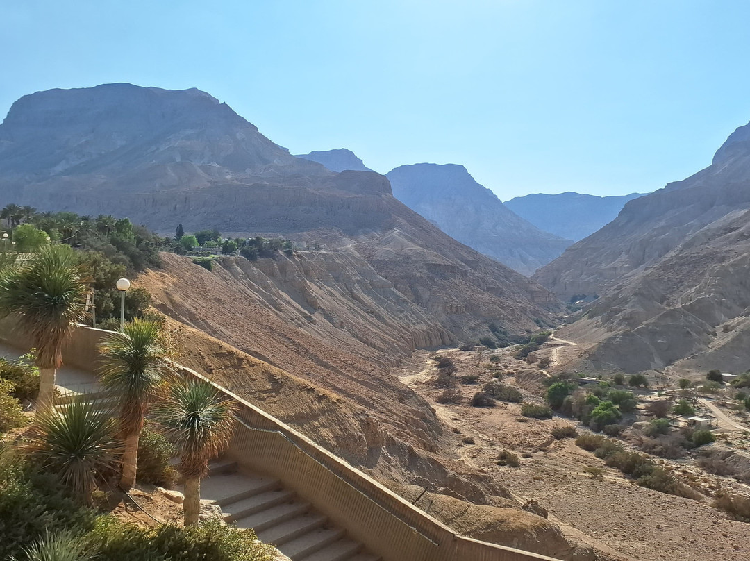 茵格德克布兹酒店主图