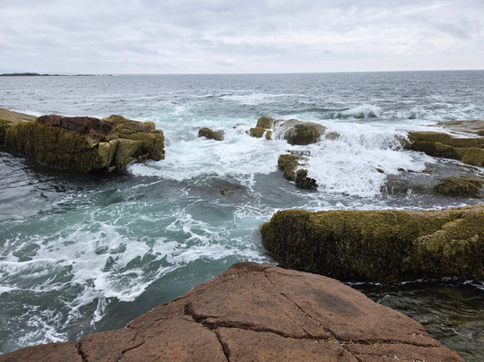 Good Trip Adventures Acadia-巴港必去景点