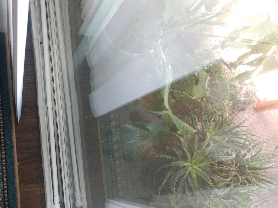 The Patriots Boutique Motel主图