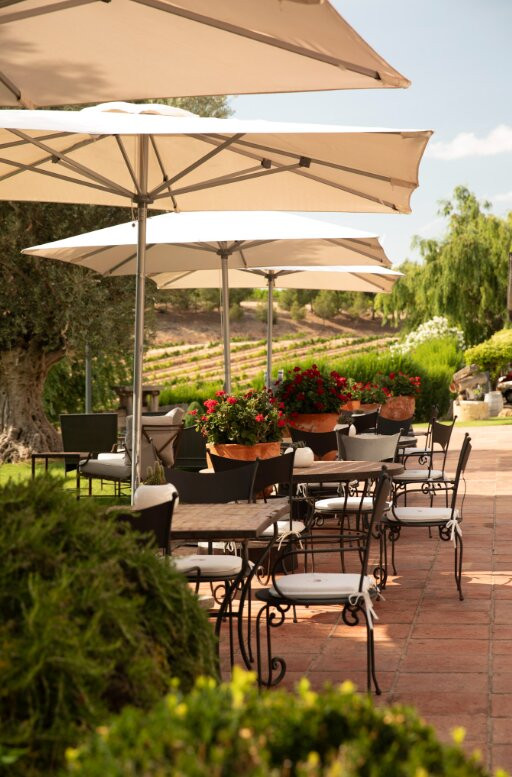 Bodega Pago de Cirsus主图