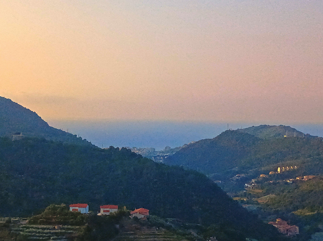 Casa Vacanze Tra Gli Ulivi