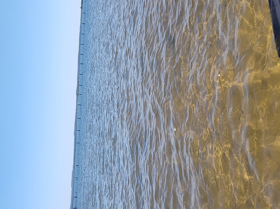 Prata Beach-Palmas必去景点