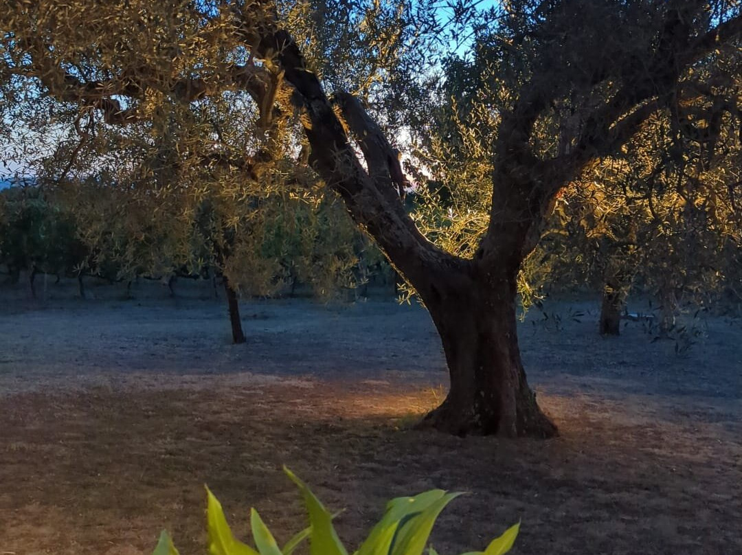Villa Vacasio Bio-Eco主图