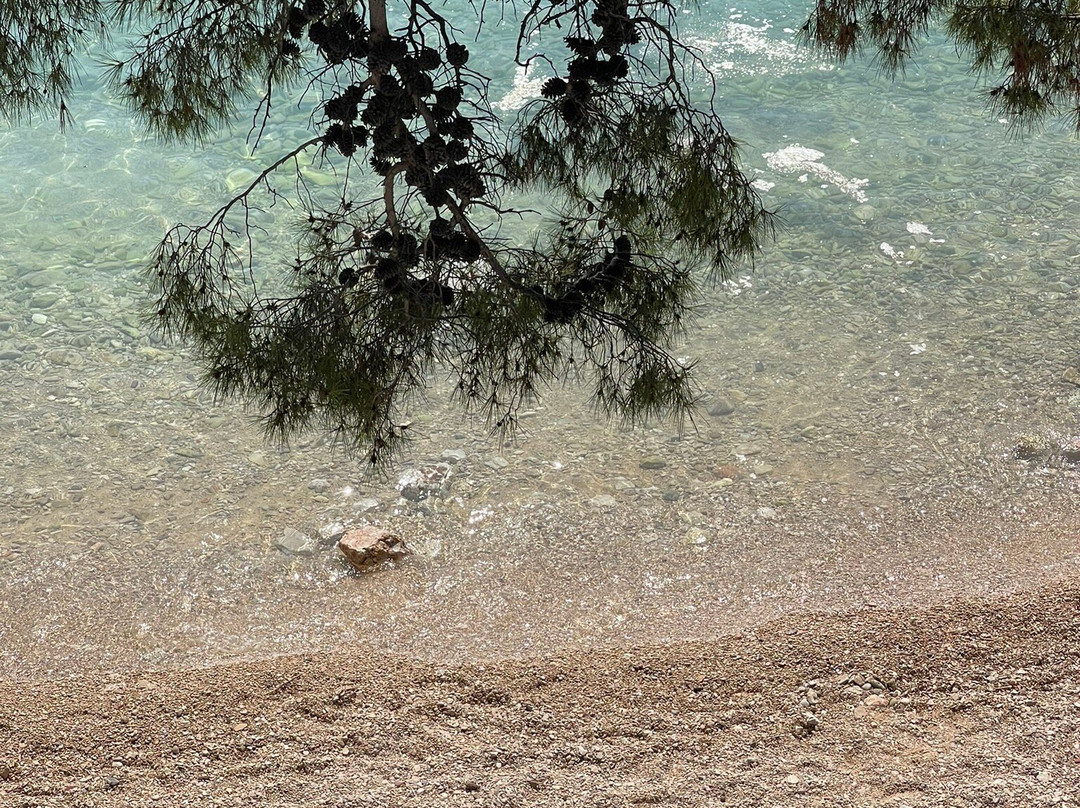 Martinica Beach Bol-波尔必去景点