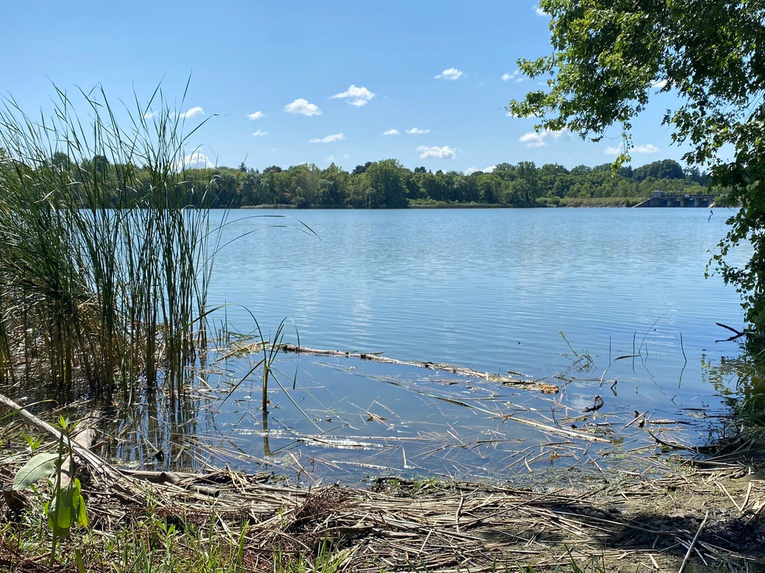 Pittock Conservation Area-Woodstock必去景点