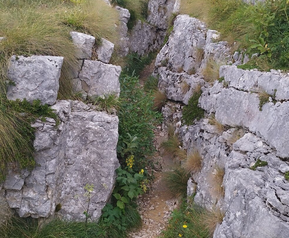Monte Cengio景点图片