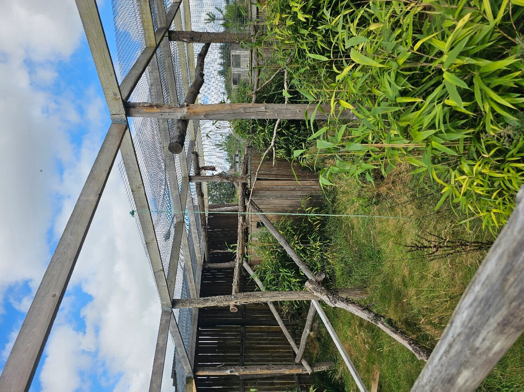 Parc Animalier d'Ecouves-Le Bouillon必去景点