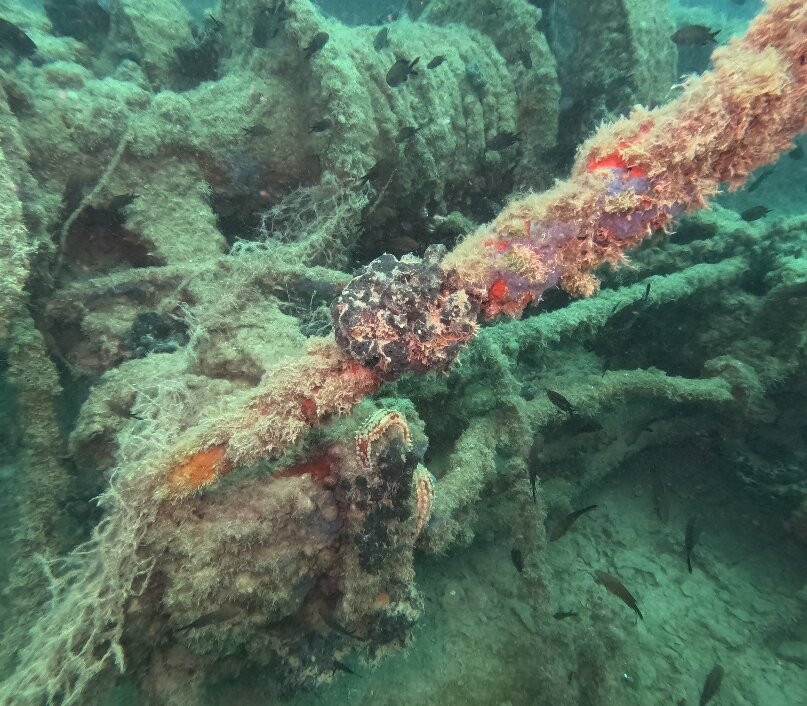 Oazi Blu-夫罗勒必去景点