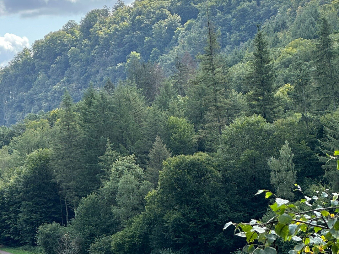 The Treetop Walk Saarschleife-梅特拉赫必去景点