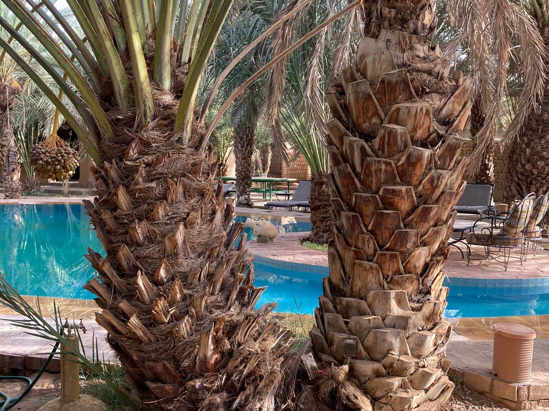 La Rose Du Desert主图