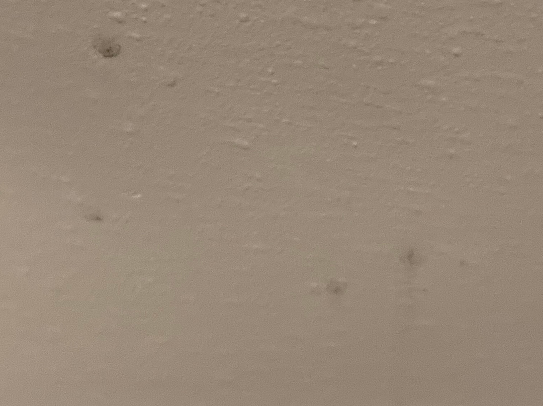 La Quinta Inn & Suites by Wyndham Ruidoso Downs主图