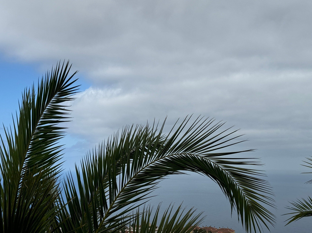Parque Natural El Montillo-圣克鲁斯-德特内里费必去景点