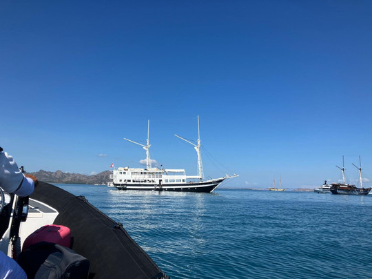 Aliikai Voyage-科莫多必去景点