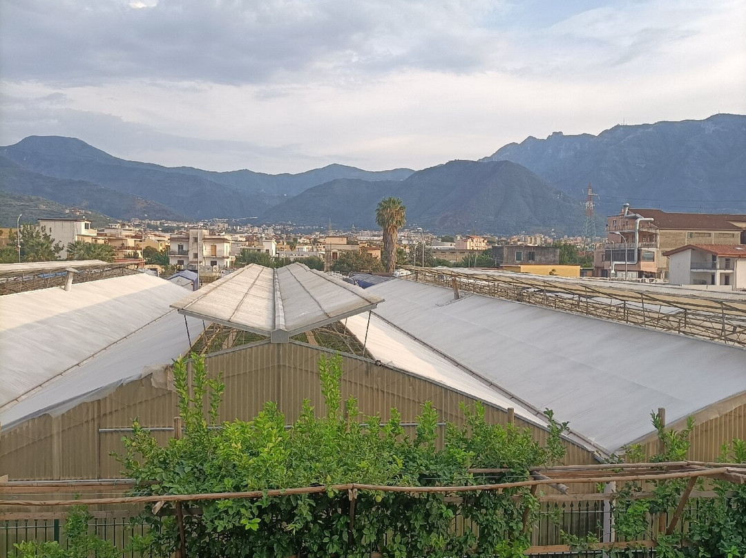 Cascina Fiorita B&B