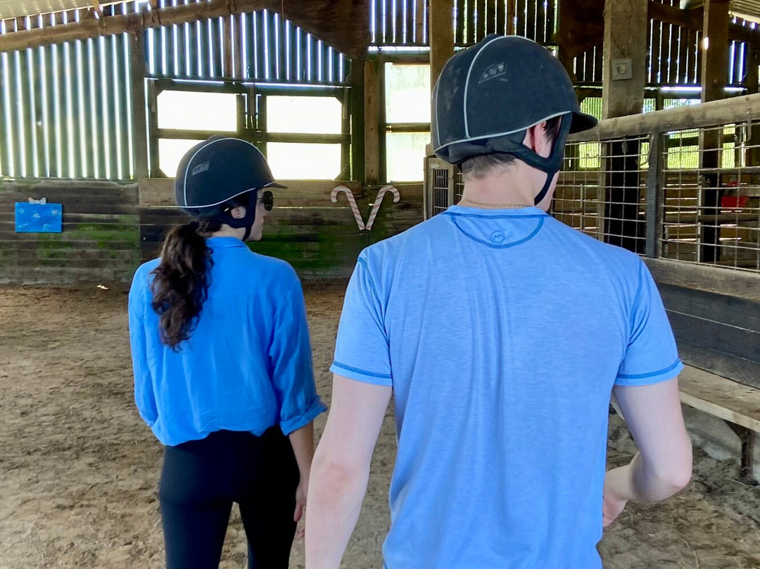 Polmartin Riding Equestrian Site景点图片