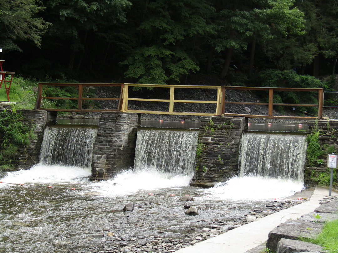 Fillmore Glen State Park景点图片