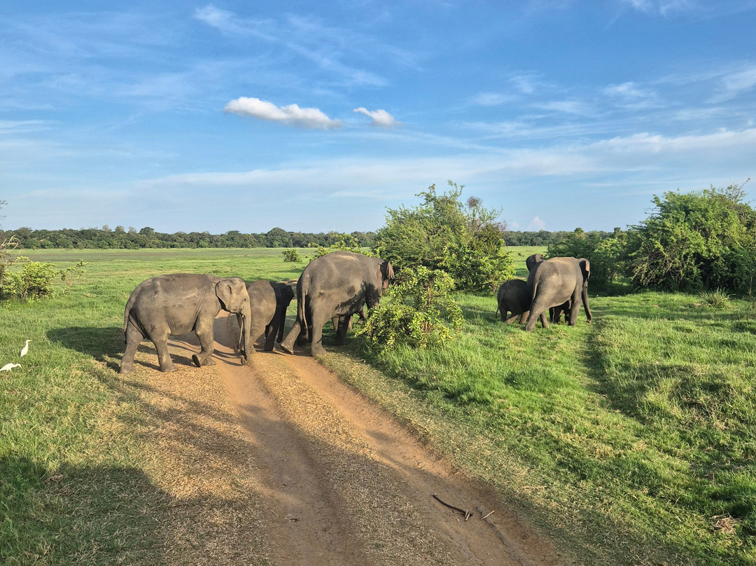 Nihar Srilanka Tours & Travels-Meemure必去景点