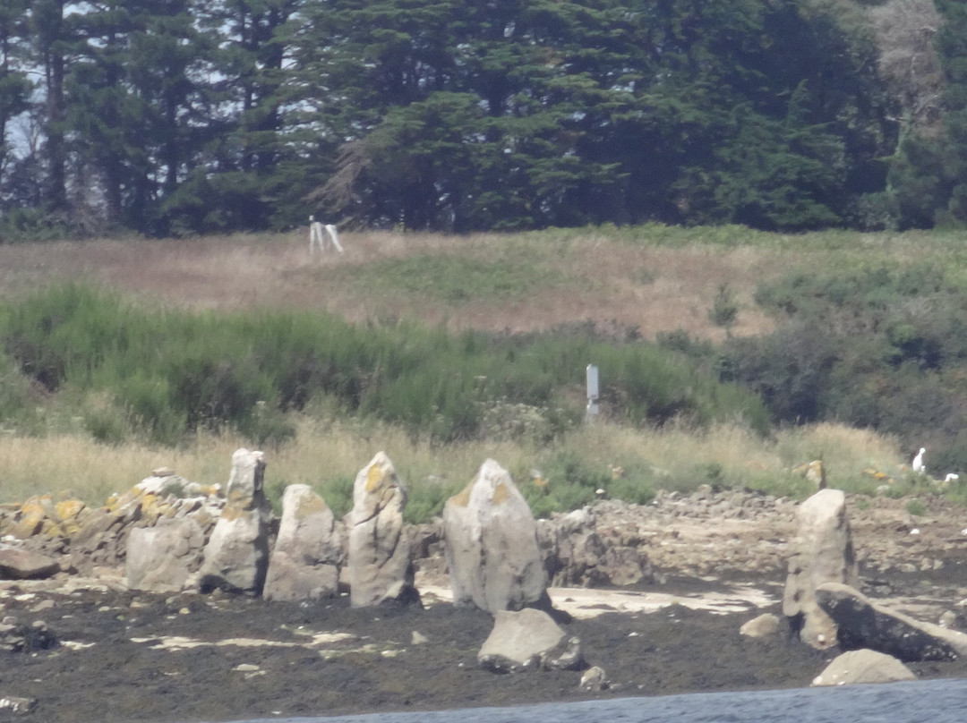 Cairn de Gavrinis景点图片