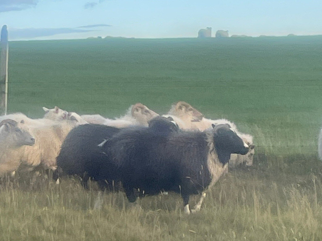 Glacier View Guesthouse主图