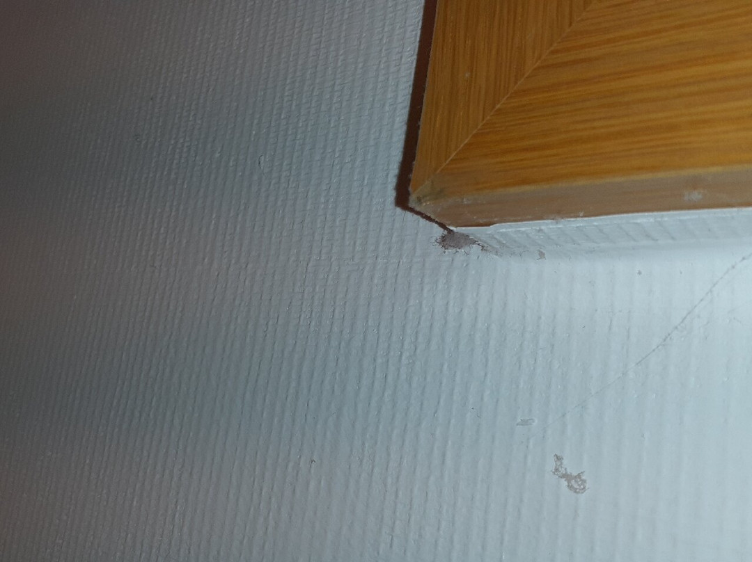 Inselklause Schwarzwald主图