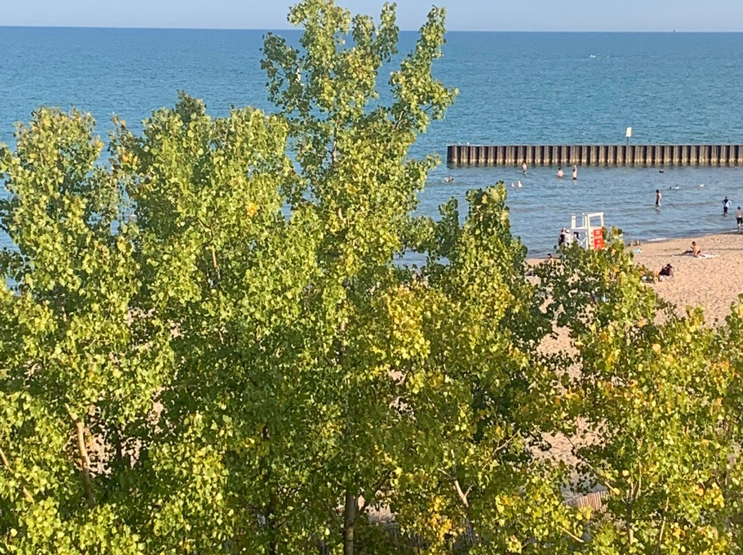 Northwestern University-埃文斯顿必去景点