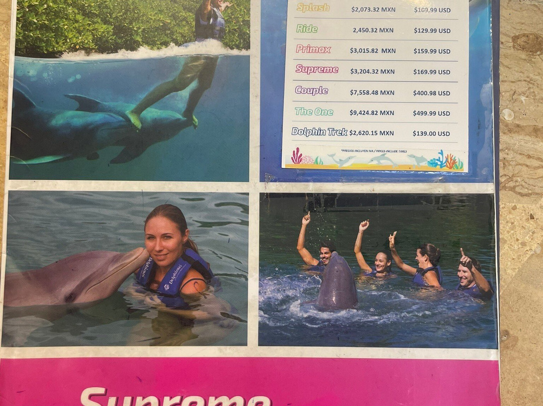 Delphinus Riviera Maya景点图片