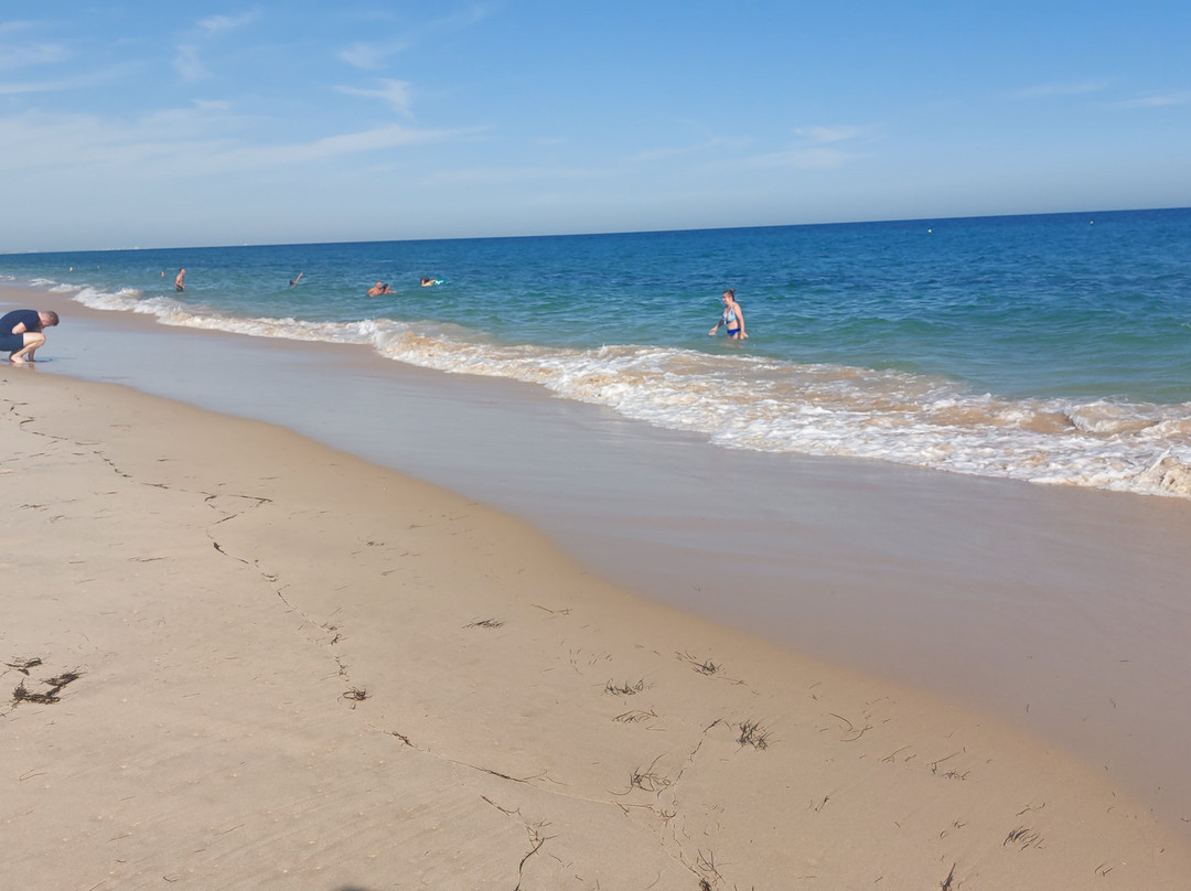 Praia da Terra Estreita景点图片