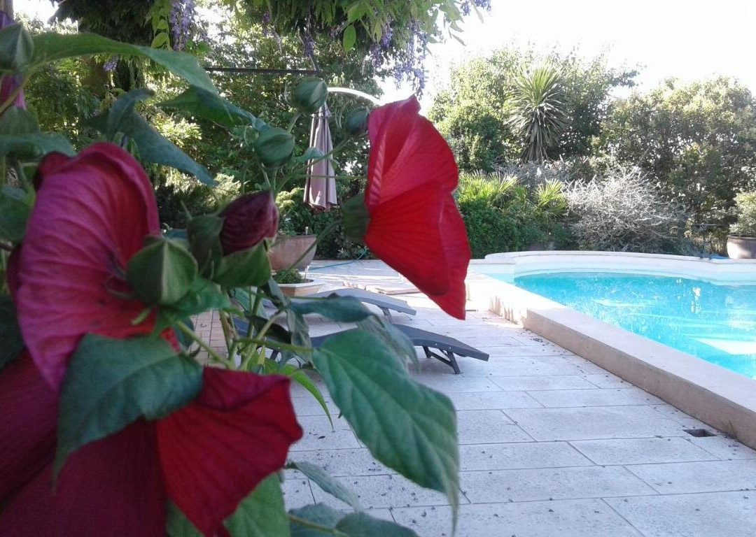 Michele et Didier Lin主图