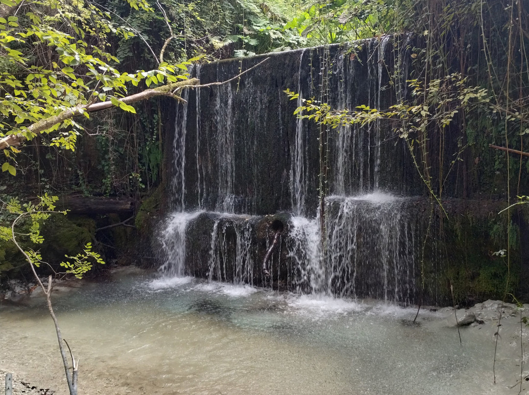 Alento River景点图片