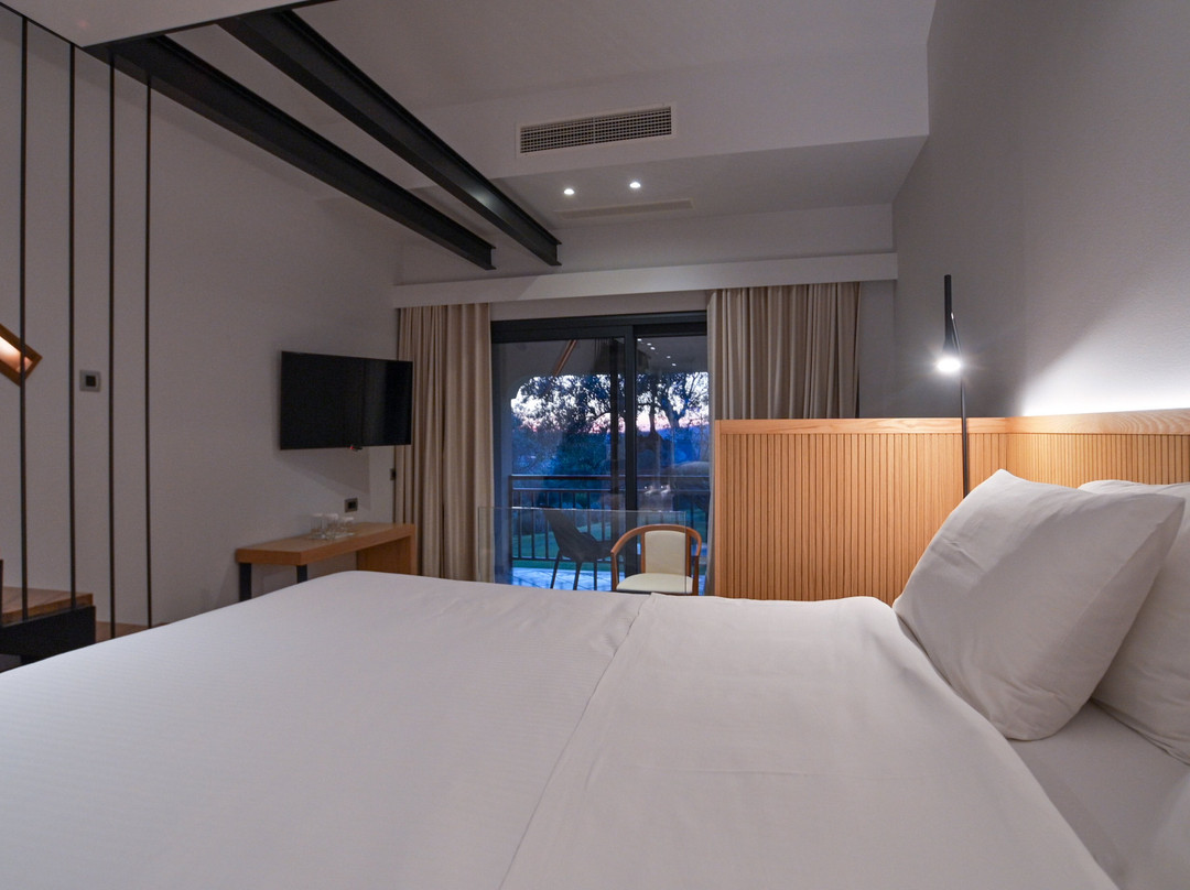 Olympion Asty Hotel主图